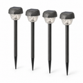 Ridge Line Solar Path Light Set